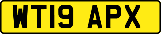 WT19APX