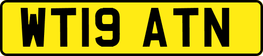 WT19ATN