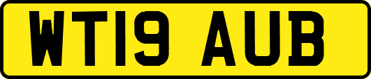 WT19AUB