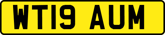 WT19AUM