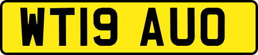 WT19AUO