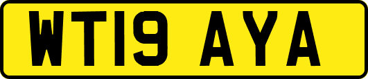 WT19AYA