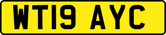 WT19AYC