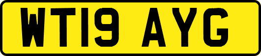 WT19AYG