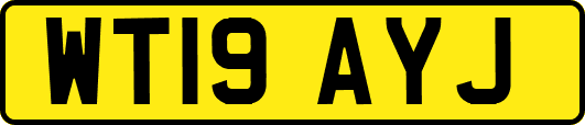 WT19AYJ