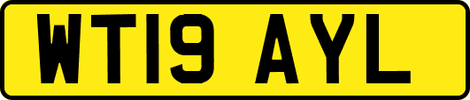 WT19AYL