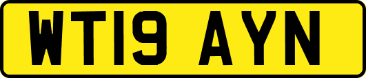 WT19AYN
