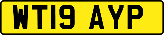 WT19AYP