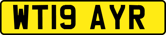 WT19AYR