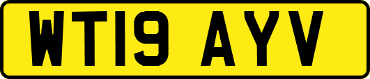 WT19AYV
