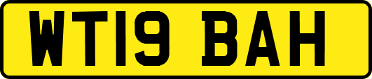 WT19BAH