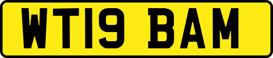 WT19BAM