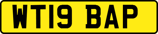 WT19BAP