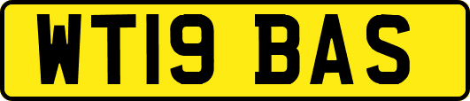 WT19BAS