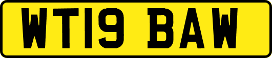WT19BAW