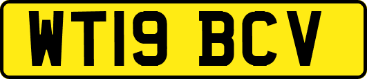 WT19BCV