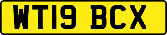 WT19BCX