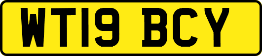 WT19BCY