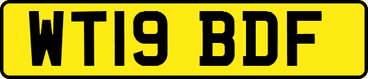 WT19BDF