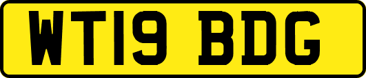 WT19BDG