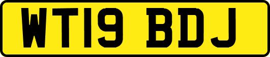 WT19BDJ