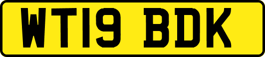 WT19BDK