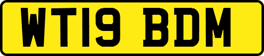 WT19BDM