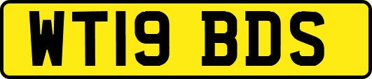 WT19BDS