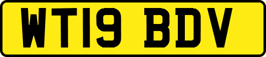 WT19BDV