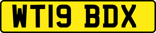 WT19BDX