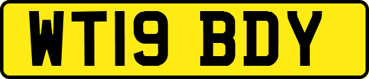 WT19BDY