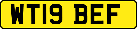 WT19BEF