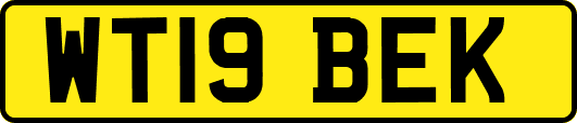 WT19BEK