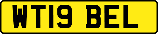 WT19BEL