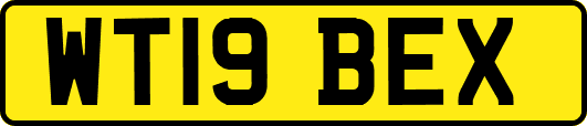 WT19BEX