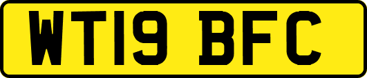 WT19BFC