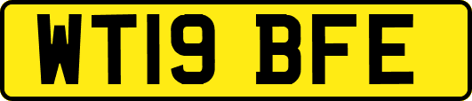 WT19BFE
