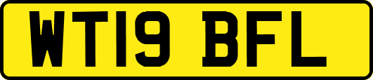 WT19BFL