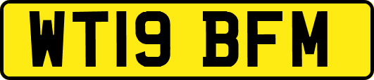 WT19BFM