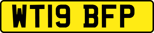 WT19BFP