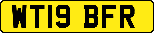 WT19BFR