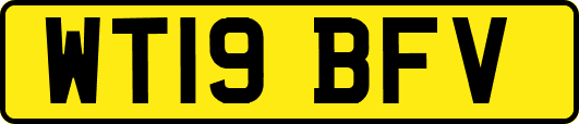 WT19BFV