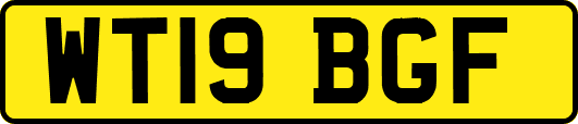 WT19BGF