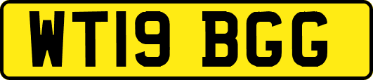 WT19BGG