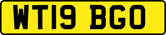 WT19BGO