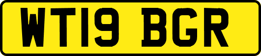 WT19BGR