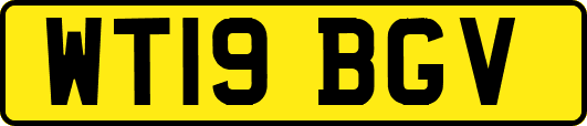 WT19BGV