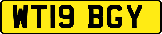 WT19BGY