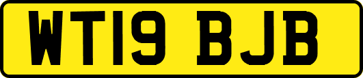 WT19BJB