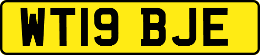 WT19BJE